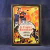 EL TEMIBLE ROBIN HOOD - DVD