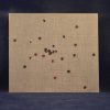 NONPAREILS - SCENTED PICTURES - CD