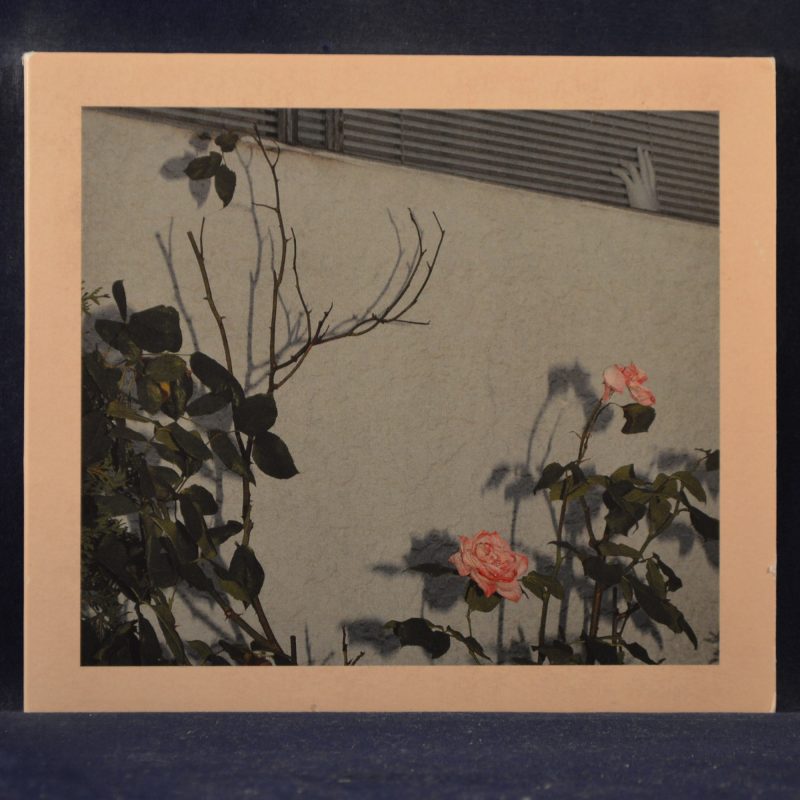 SAVIOR - SOFT KILL - CD