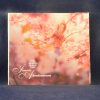 JENNIE ABRAHAMSON ‎- WHILE THE SUN'S STILL UP AND THE SKY IS BRIGHT - CD