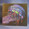 MATHIAS KADEN – WATERGATE 14 - CD