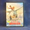 EL JINETE DEL DRAGÓN - DVD