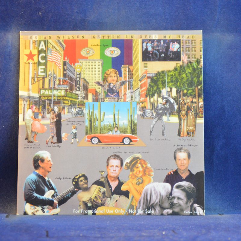 BRIAN WILSON - GETTIN' IN OVER MY HEAD - CD