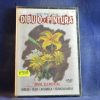 CURSO PRÁCTICO DE DIBUJO Y PINTURA - DVD